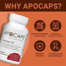 Load image into Gallery viewer, Apocaps Apoptogen Formula