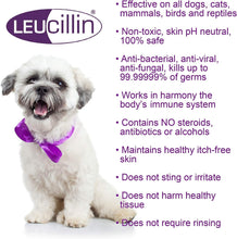 Load image into Gallery viewer, Leucillin Antiseptic Skincare
