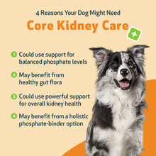 Load image into Gallery viewer, CORE KIDNEY CARE - Daily Phosphate Binder for Dogs