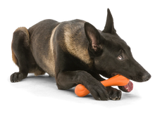 Load image into Gallery viewer, West Paw Toy - Hurleyl