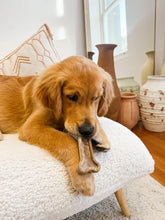 Load image into Gallery viewer, Kelpy Bone