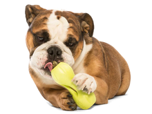 Load image into Gallery viewer, West Paw Toy - Qwizl