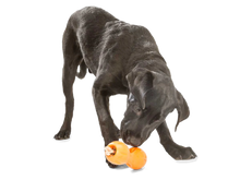 Load image into Gallery viewer, West Paw Toy - Qwizl