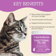 Load image into Gallery viewer, Functional Feline Powder for Cats