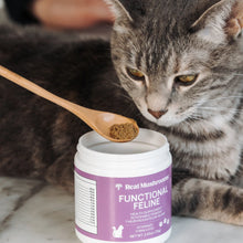 Load image into Gallery viewer, Functional Feline Powder for Cats