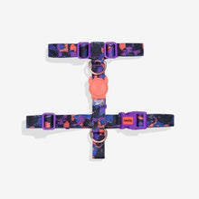 Load image into Gallery viewer, Zee Dog H Harness - Reebok Court