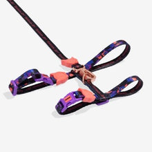 Load image into Gallery viewer, Zee Dog Cat Harness + Leash Set - Reebok Court
