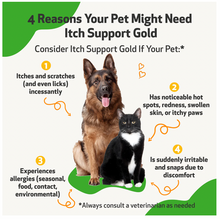 Load image into Gallery viewer, Itch Support Gold - for Allergy-Related Itch in Dogs 2oz