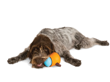 Load image into Gallery viewer, West Paw Toy - Toppl
