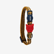 Load image into Gallery viewer, Zee Dog Cat Collar - Misfit