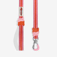 Load image into Gallery viewer, Zee Dog Leash - Courtney