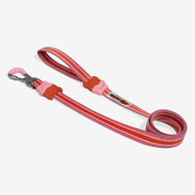 Load image into Gallery viewer, Zee Dog Leash - Courtney