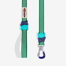 Load image into Gallery viewer, Zee Dog Leash - Vert