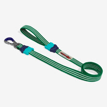 Load image into Gallery viewer, Zee Dog Leash - Vert