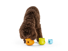 Load image into Gallery viewer, West Paw Toy - Toppl