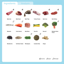Load image into Gallery viewer, Wild Fish, Beef & Turkey 500g
