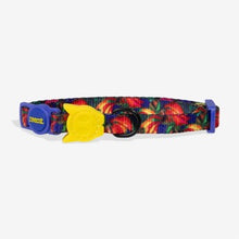 Load image into Gallery viewer, Zee Dog Cat Collar - Samba