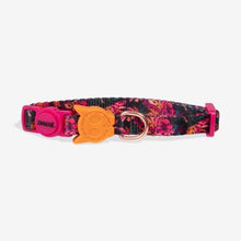 Load image into Gallery viewer, Zee Dog Cat Collar - Selva