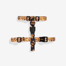 Load image into Gallery viewer, Zee Dog H Harness - Bossa Banana