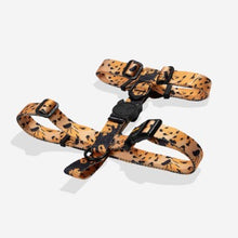 Load image into Gallery viewer, Zee Dog H Harness - Bossa Banana