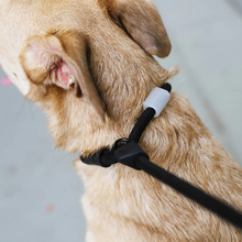 Load image into Gallery viewer, Zee Dog Slip-N-Lock Leash - Gotham
