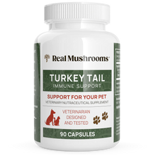 Load image into Gallery viewer, Turkey Tail Extract Capsules