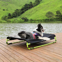 Load image into Gallery viewer, Zee Dog Air Bed