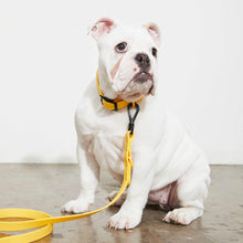 Load image into Gallery viewer, Yonder Lead - Yellow