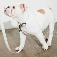 Load image into Gallery viewer, Yonder Collar - Grey