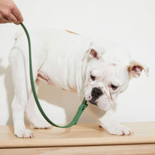 Load image into Gallery viewer, Yonder Lead - Green