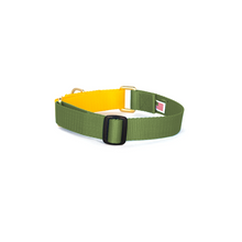 Load image into Gallery viewer, Martingale Collar - Military Green & Yellow