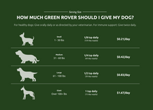 Load image into Gallery viewer, Green Rover