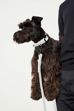 Load image into Gallery viewer, Yonder Collar - Grey