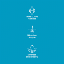 Load image into Gallery viewer, Joint Support