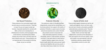 Load image into Gallery viewer, Soil & Sea | Primordial Pre & Probiotics