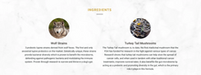 Load image into Gallery viewer, The Wolf | Species Appropriate Probiotic