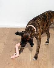 Load image into Gallery viewer, Bolt Bite