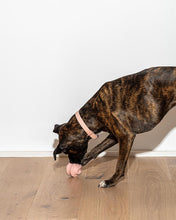 Load image into Gallery viewer, Twist Toss