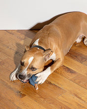 Load image into Gallery viewer, Twist Toss