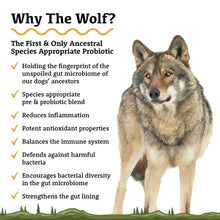 Load image into Gallery viewer, The Wolf | Species Appropriate Probiotic