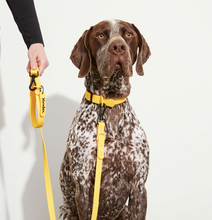 Load image into Gallery viewer, Yonder Lead - Yellow