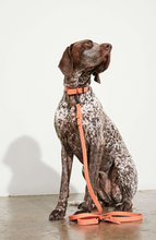 Load image into Gallery viewer, Yonder Lead - Peach