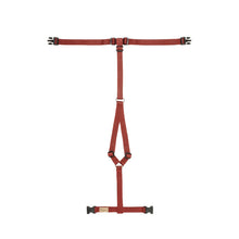 Load image into Gallery viewer, Haqihana Harness - Wine