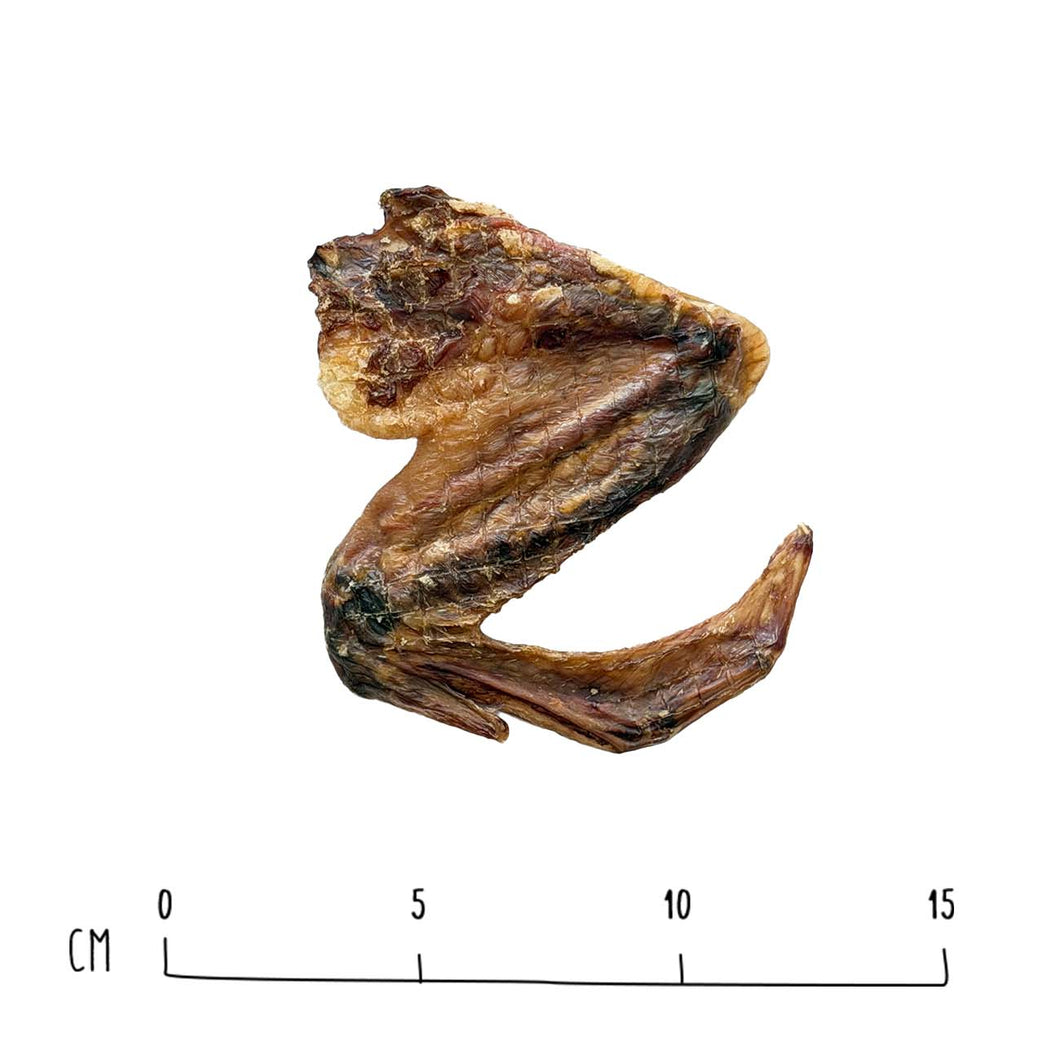Air-Dried Duck Wing