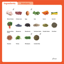 Load image into Gallery viewer, Chicken Chia Blueberries (organic) 500g
