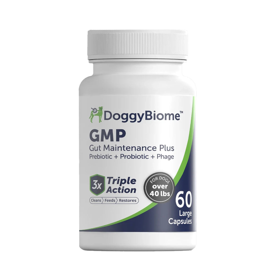 GMP for Dogs