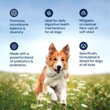 Load image into Gallery viewer, GMP for Dogs
