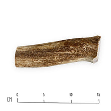 Load image into Gallery viewer, Deer Antler
