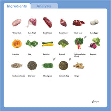 Load image into Gallery viewer, Duck, Zucchini &amp; Kale 500g

