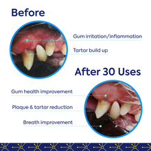 Load image into Gallery viewer, Protektin42K - Prebiotic Dental Powder
